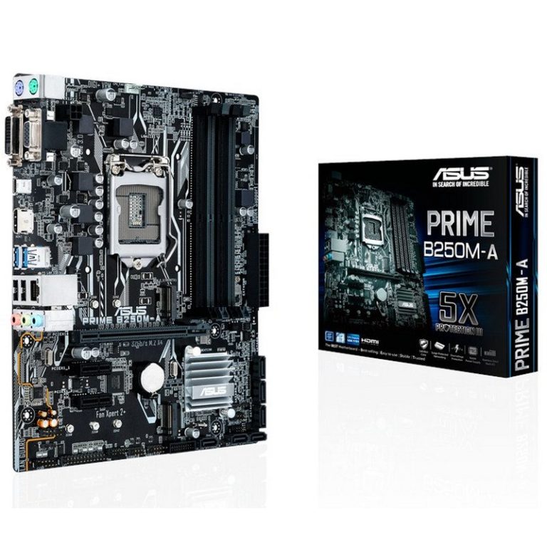 Placa Base ASUS B250M-A