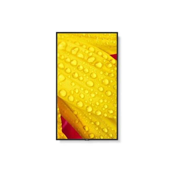 Pantalla Plana para Señalización Digital NEC Multisync ME501 127cm 50'' 4K UHD - Imagen 2