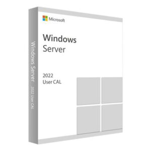 Microsoft Windows Server 2022 1 User CAL