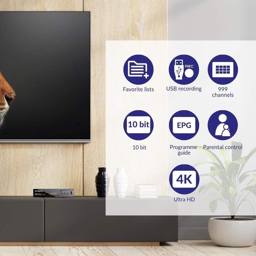 Receptor Digital Terrestre TDT Strong 4K UHD DVB T2 USB Analógico y digital - Imagen 4