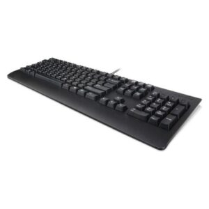 Teclado Lenovo USB Negro Español CTO/USB TRDTNL en español